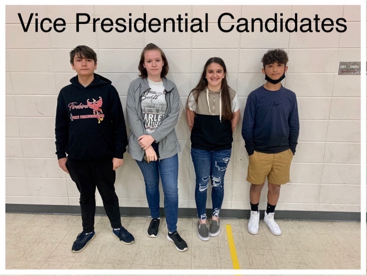 Vice Presidential candidates