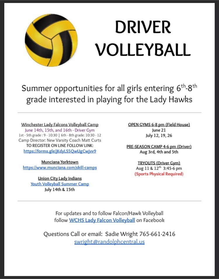 summer volleyball