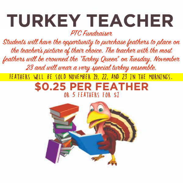 Turkey Teacher