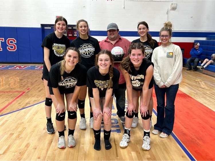 ffa volleyball